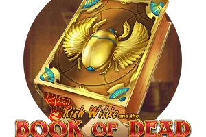 Book of Dead pokie at VegaStars Casino